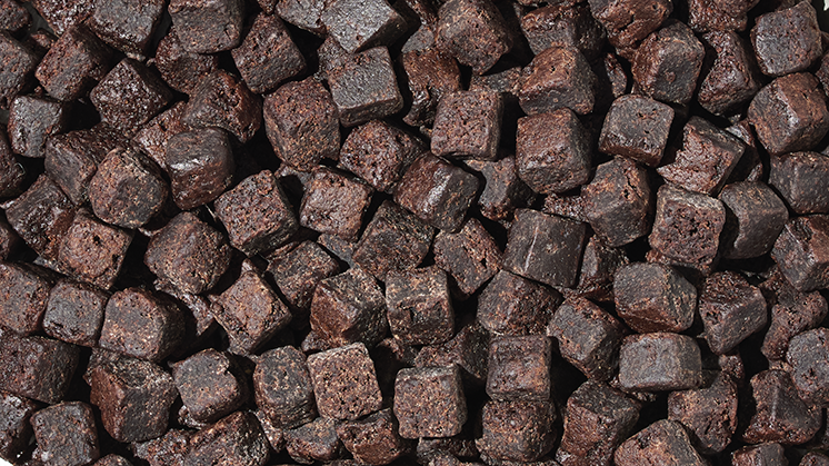 9oz Cup of Brownie Bites