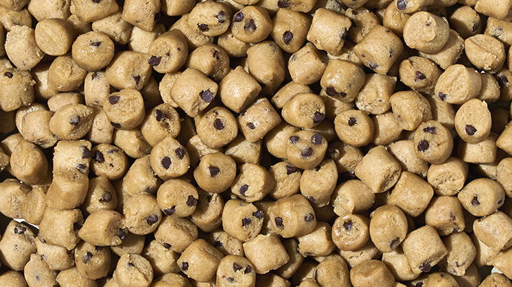 9oz Cup of Cookie Dough